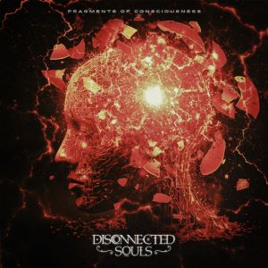 Disconnected Souls – Fragments Of Consciousness